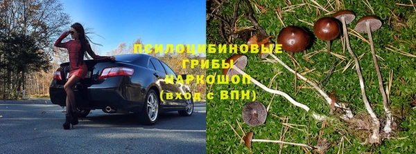 прущая мука Алзамай