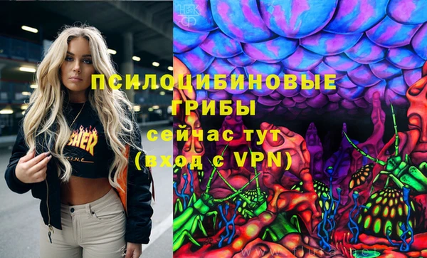 прущая мука Алзамай