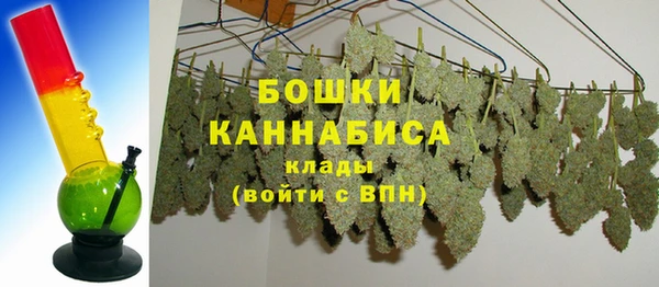 хмурый Арсеньев