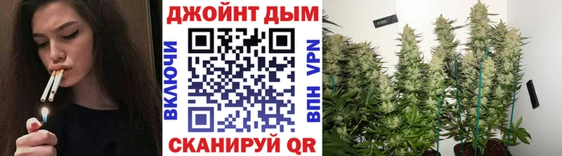 Бошки марихуана планчик  даркнет сайт  Кыштым 